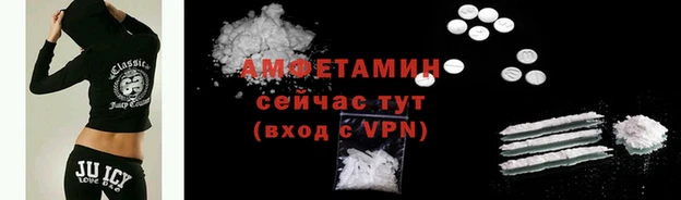 шишки Аркадак