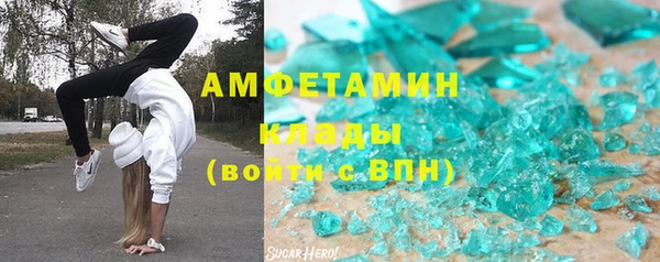 шишки Аркадак