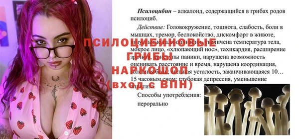 шишки Аркадак