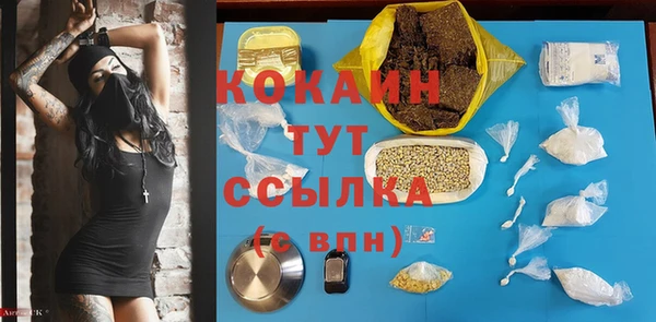 шишки Аркадак