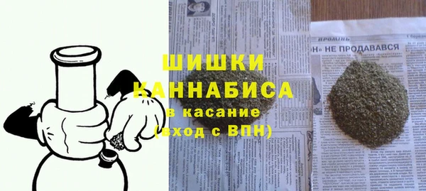 шишки Аркадак
