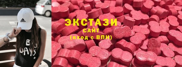 шишки Аркадак