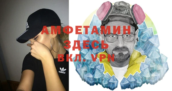 шишки Аркадак
