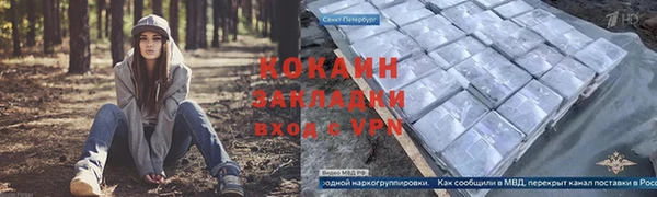 шишки Аркадак