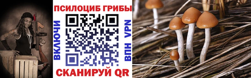 Купить где  Среднеколымск  Псилоцибиновые грибы Magic Shrooms 